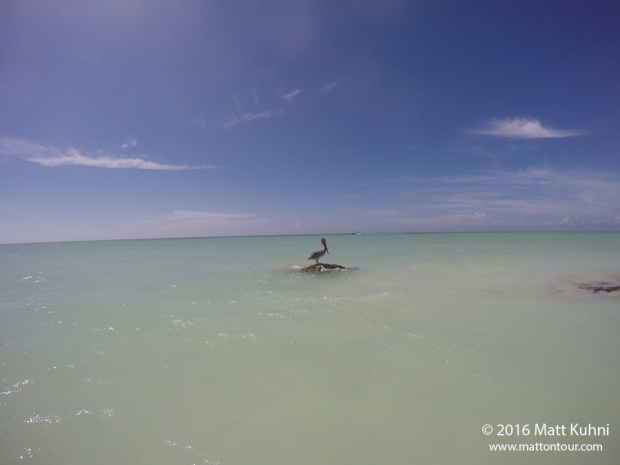 DCIM100GOPROGOPR0371.