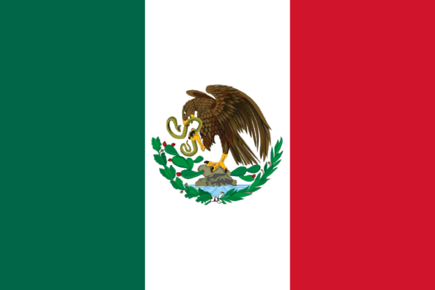 20060117062247flag_of_mexico_1917